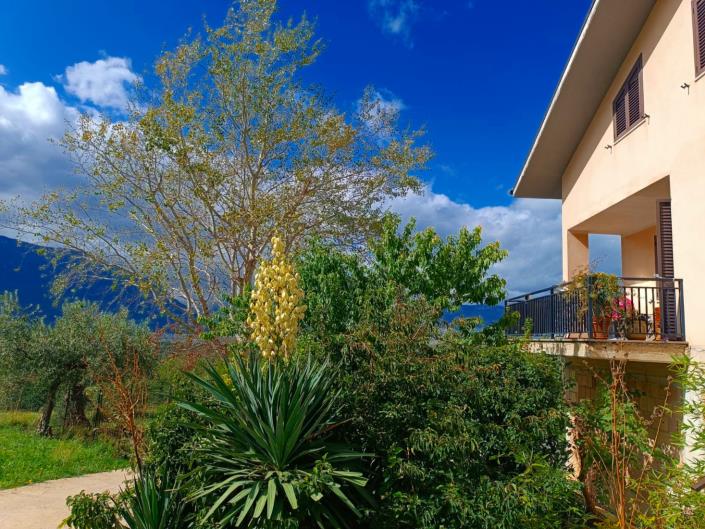 Image No.5-3 Bed Villa / Detached for sale