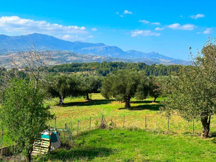 Image No.6-3 Bed Villa / Detached for sale