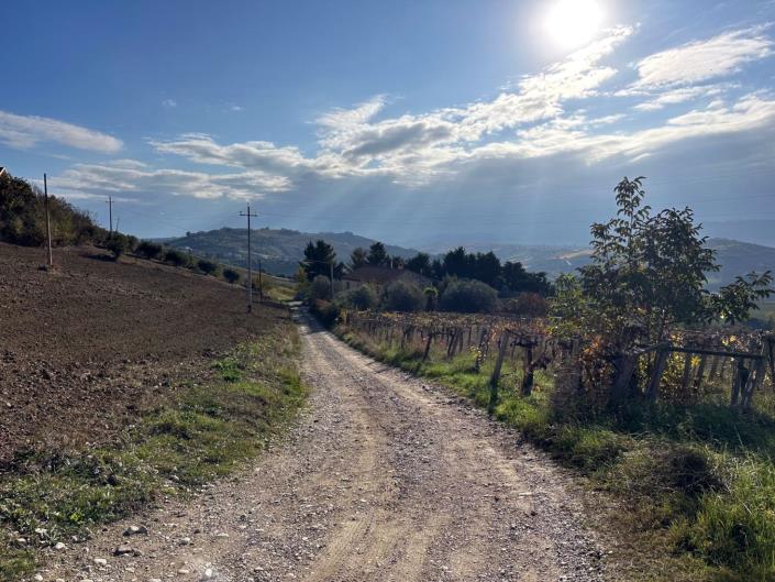 Image No.4-3 Bed Cottage for sale