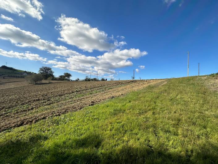 Image No.2-Land for sale