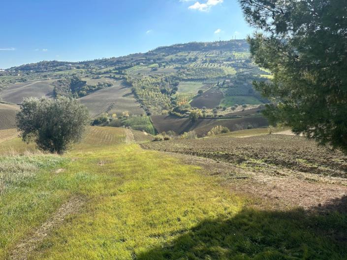 Image No.6-Land for sale