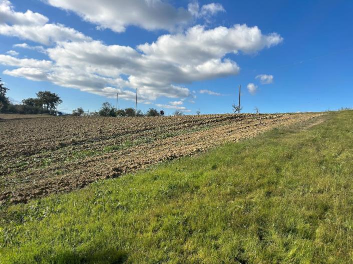 Image No.7-Land for sale