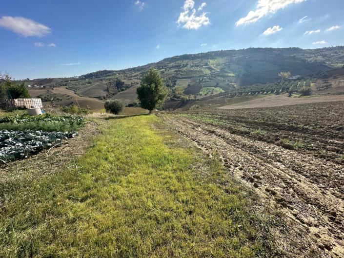 Image No.11-Land for sale