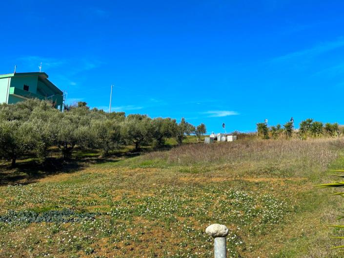 Image No.1-Terre à vendre à Atri