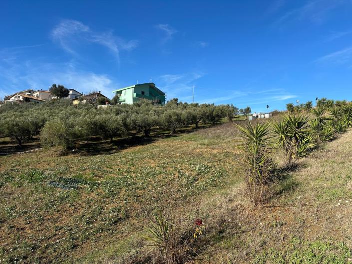 Image No.2-Land for sale