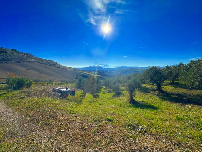 Image No.7-Land for sale