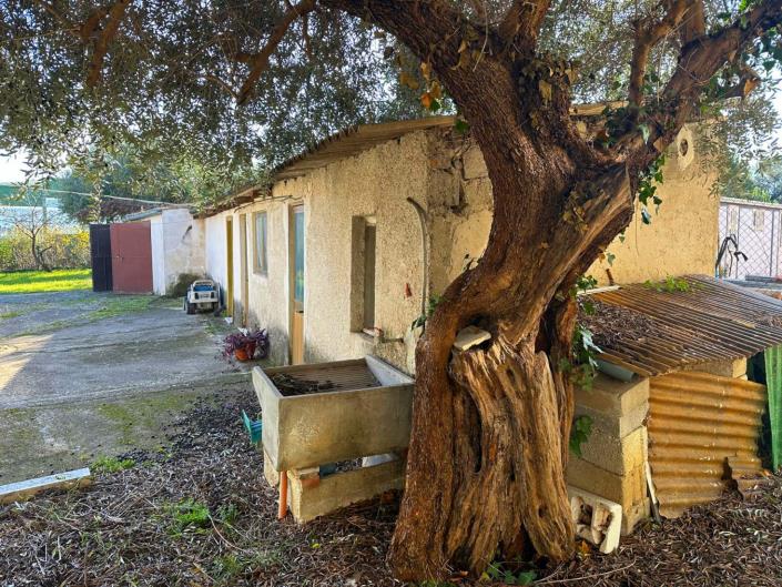 Image No.10-Villa / Détaché de 3 chambres à vendre à Torre de'Passeri