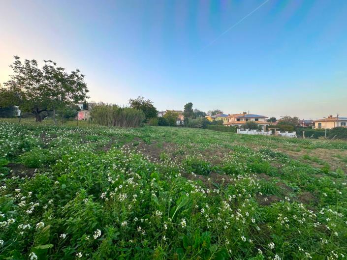 Image No.4-Land for sale