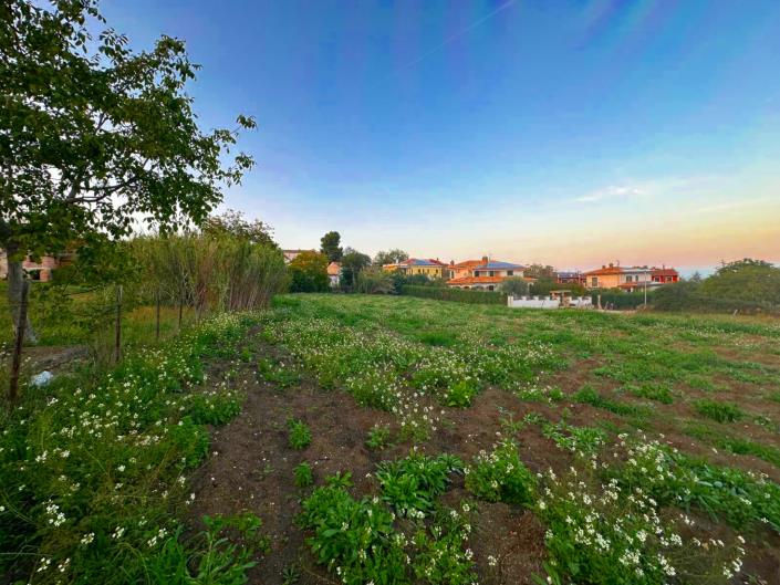 Image No.4-Terre à vendre à Nocciano