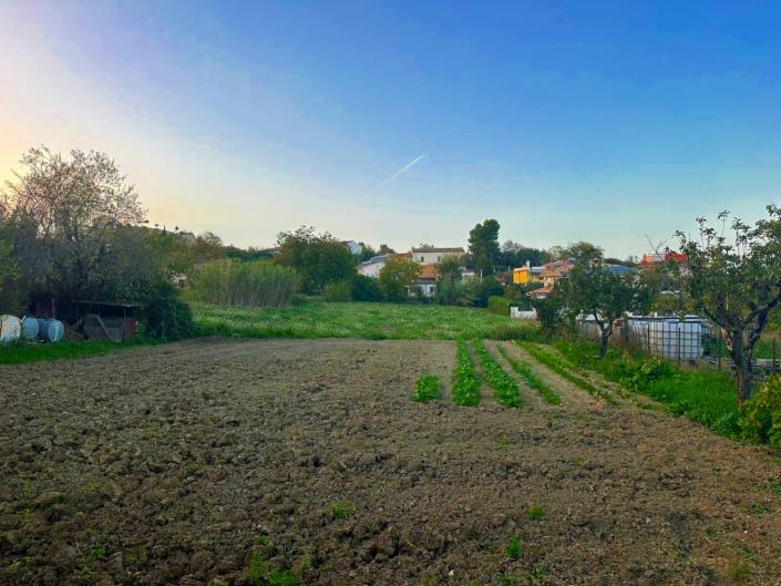 Image No.3-Terre à vendre à Nocciano