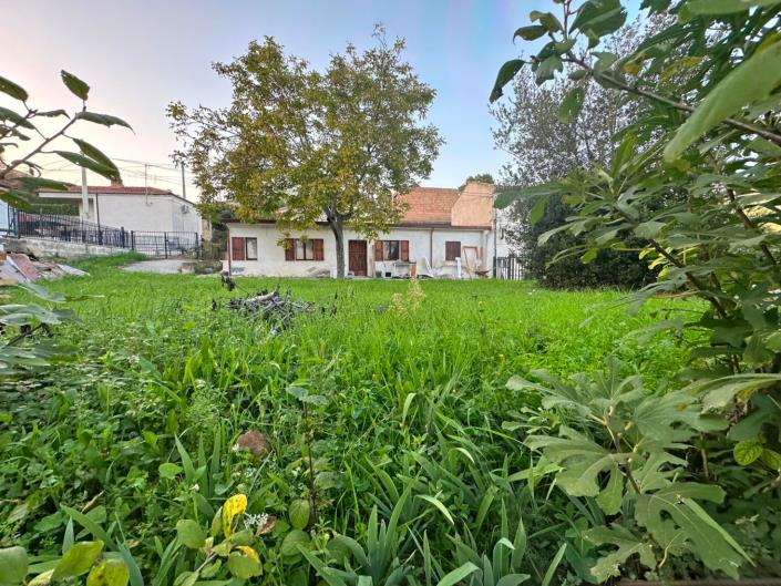 Image No.8-Terre à vendre à Nocciano