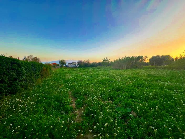 Image No.2-Terre à vendre à Nocciano