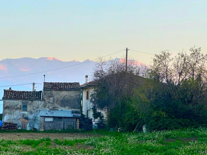 Image No.9-Terre à vendre à Nocciano