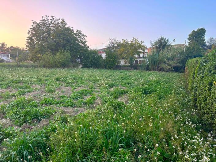 Image No.13-Terre à vendre à Nocciano