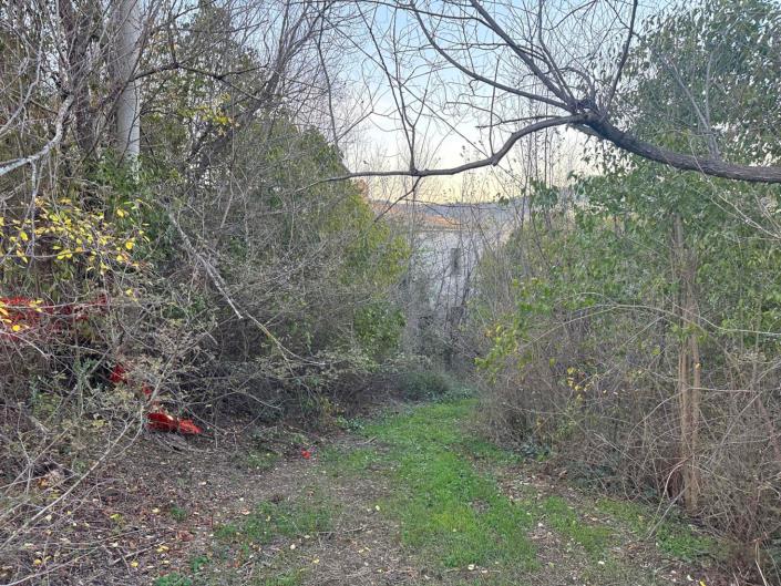 Image No.3-Cottage for sale