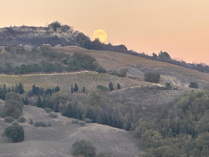 Image No.19-Cottage for sale