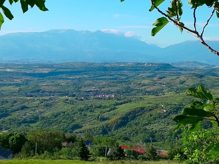 Image No.2-3 Bed Villa / Detached for sale