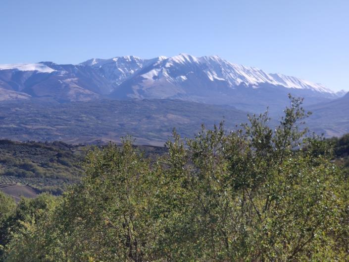 Image No.4-3 Bed House for sale