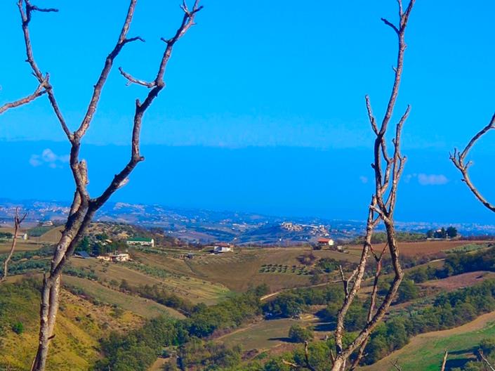 Image No.5-3 Bed House for sale