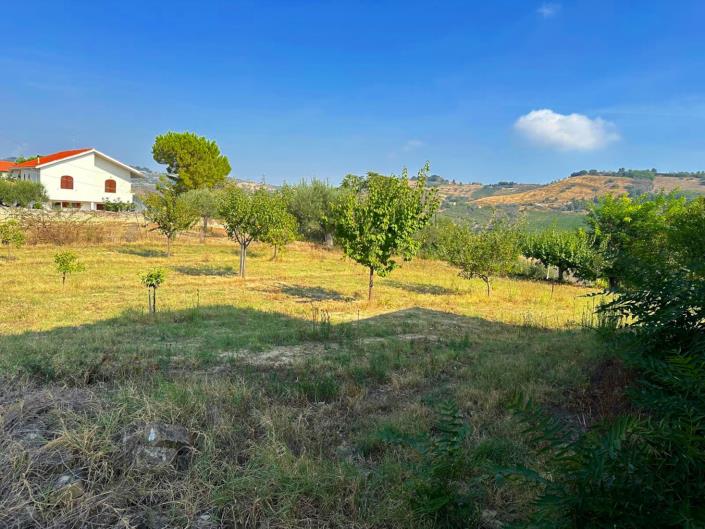 Image No.1-Terre à vendre à Atri