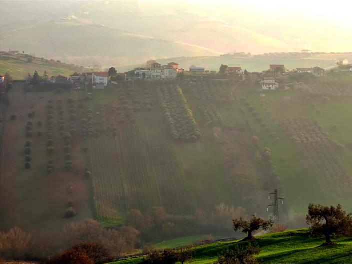 Image No.2-Land for sale