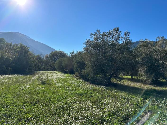 Image No.19-Propriété de 2 chambres à vendre à Catiglione A Casauria