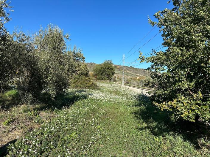 Image No.20-Propriété de 2 chambres à vendre à Catiglione A Casauria