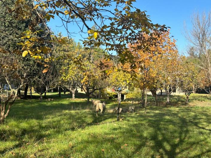 Image No.11-Propriété à vendre à Nocciano