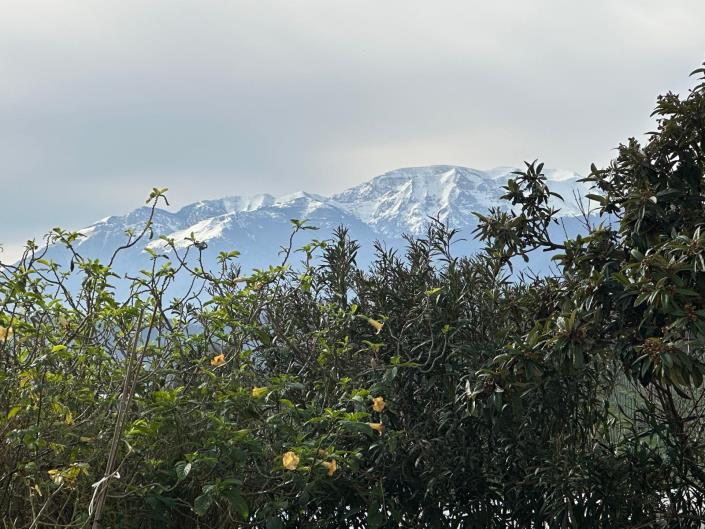 Image No.3-8 Bed Property for sale