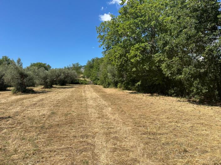 Image No.7-3 Bed Property for sale