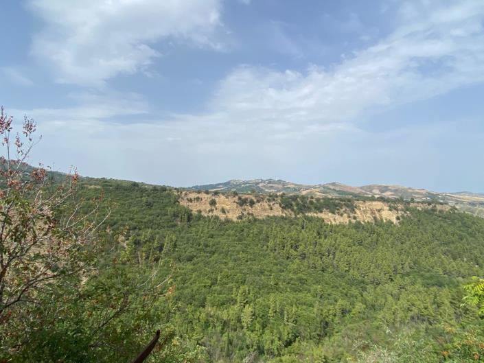 Image No.7-2 Bed Property for sale