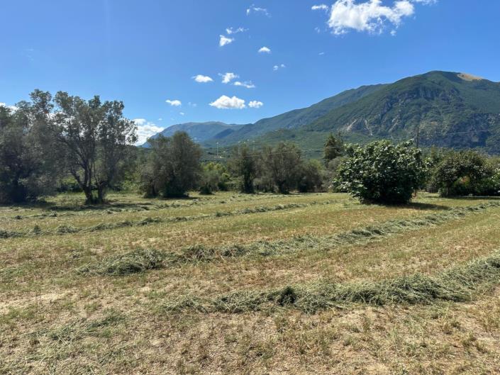 Image No.10-2 Bed Property for sale