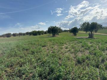 WhatsApp-Image-2025-08-29-at-18-50-52--6-