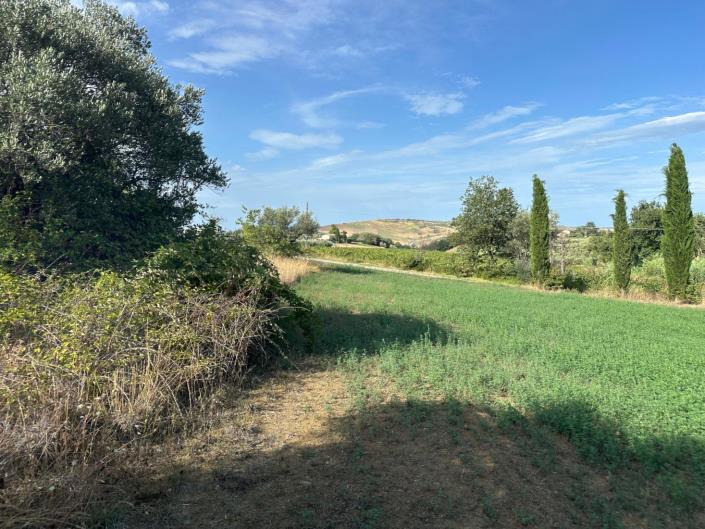 Image No.5-Terre à vendre à Civitaguana