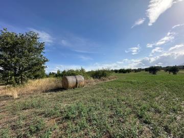 WhatsApp-Image-2025-08-29-at-18-50-52--4-