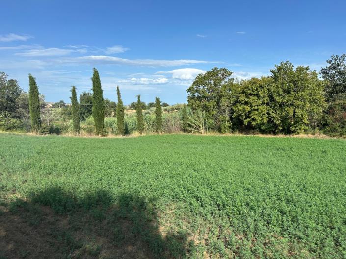 Image No.6-Terre à vendre à Civitaguana