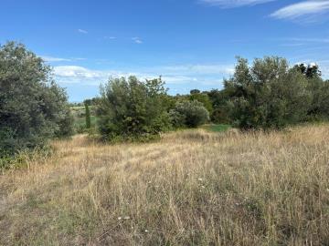 WhatsApp-Image-2025-08-29-at-18-50-51--5-