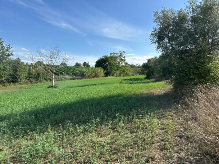 Image No.8-Terre à vendre à Civitaguana