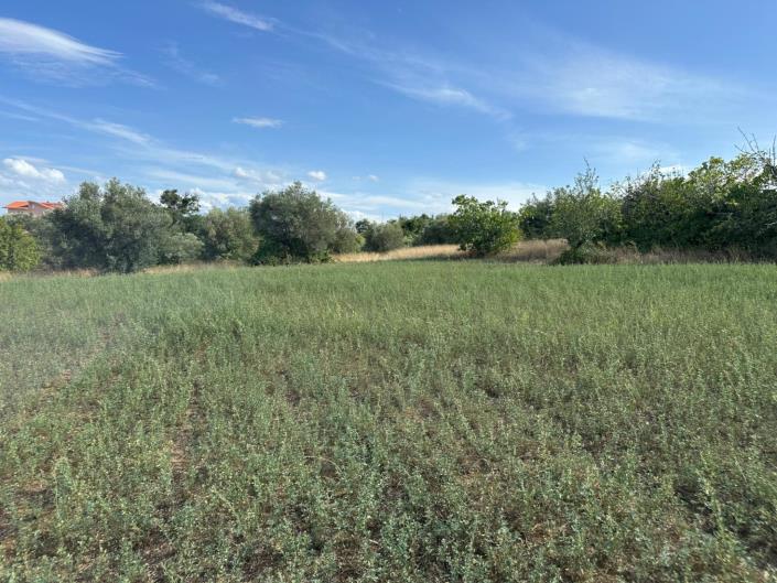 Image No.12-Terre à vendre à Civitaguana