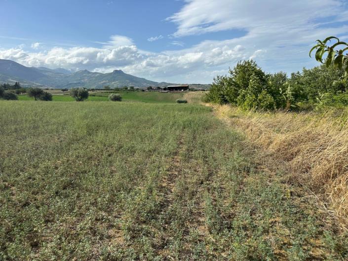 Image No.14-Terre à vendre à Civitaguana