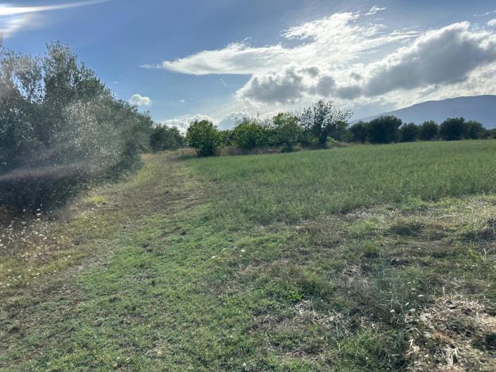 Image No.15-Terre à vendre à Civitaguana