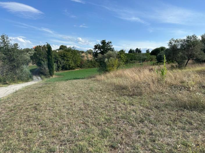 Image No.17-Terre à vendre à Civitaguana