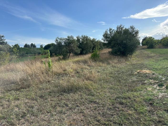 Image No.16-Terre à vendre à Civitaguana