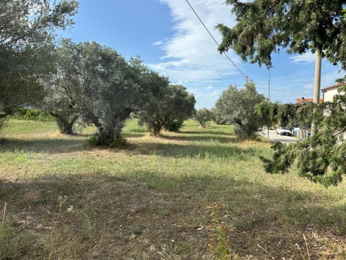 Image No.18-Terre à vendre à Civitaguana