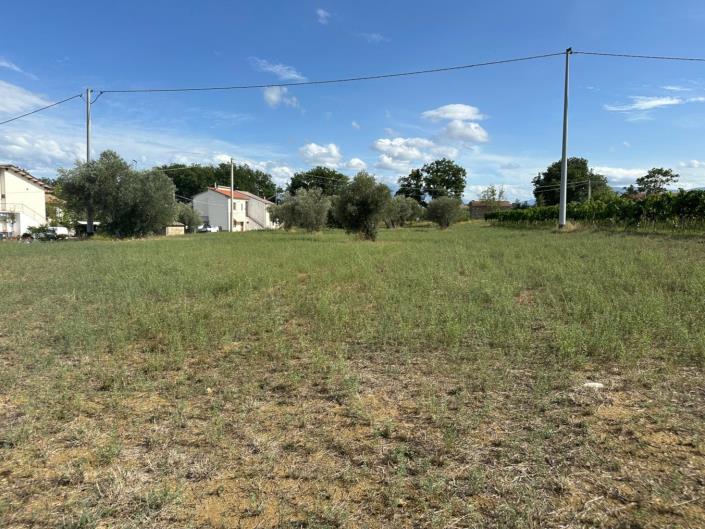 Image No.19-Terre à vendre à Civitaguana