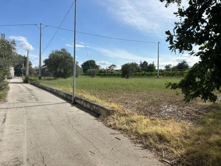 Image No.20-Terre à vendre à Civitaguana