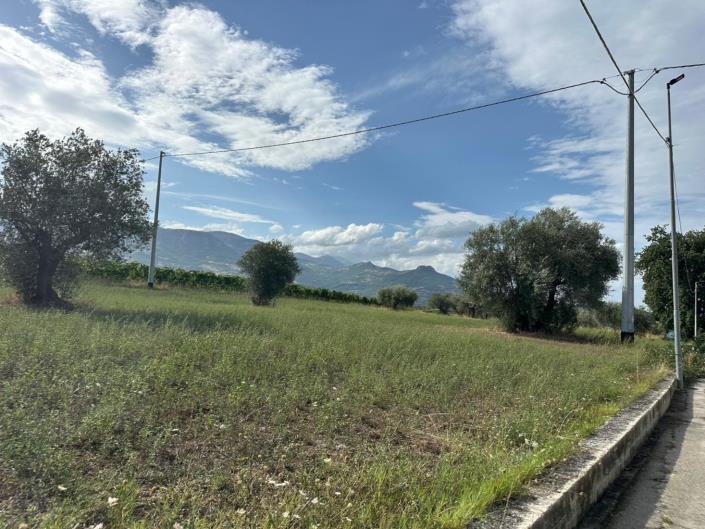 Image No.21-Terre à vendre à Civitaguana