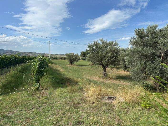 Image No.22-Terre à vendre à Civitaguana