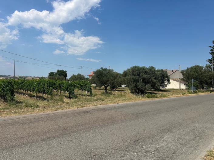 Image No.24-Terre à vendre à Civitaguana