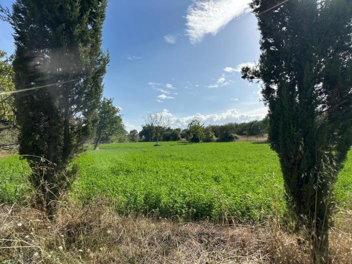 Image No.26-Terre à vendre à Civitaguana